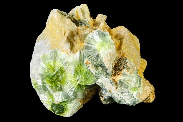 Radiating, Green Wavellite Crystal Aggregation - Arkansas #163068